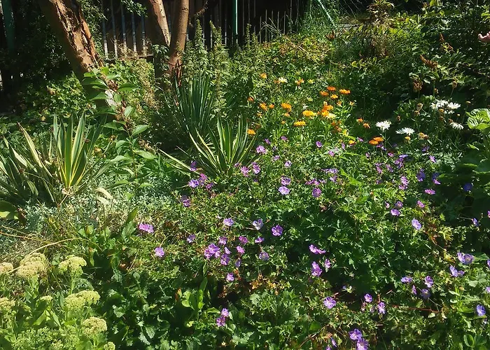 U Andrzeja, Parking W Cenie!! Rum i privatbostad Karpacz