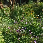 U Andrzeja, Parking W Cenie, Adults Only!! Alloggio in famiglia Karpacz