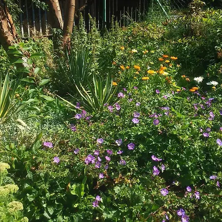 U Andrzeja, Parking W Cenie!! Δωμάτια σε οικογενειακή κατοικία Karpacz