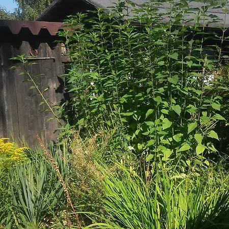 U Andrzeja, Parking W Cenie!! 홈스테이 *